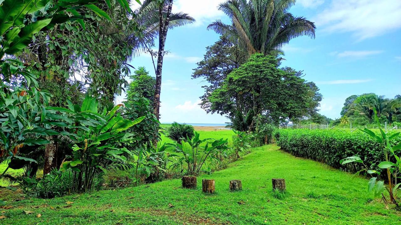 Encanto Lodge Drake Bay Exterior foto
