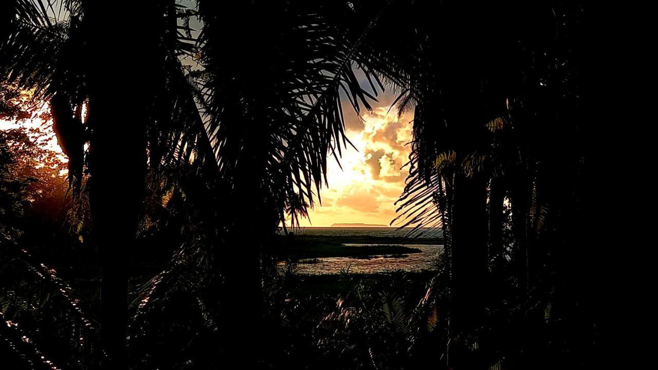 Encanto Lodge Drake Bay Exterior foto