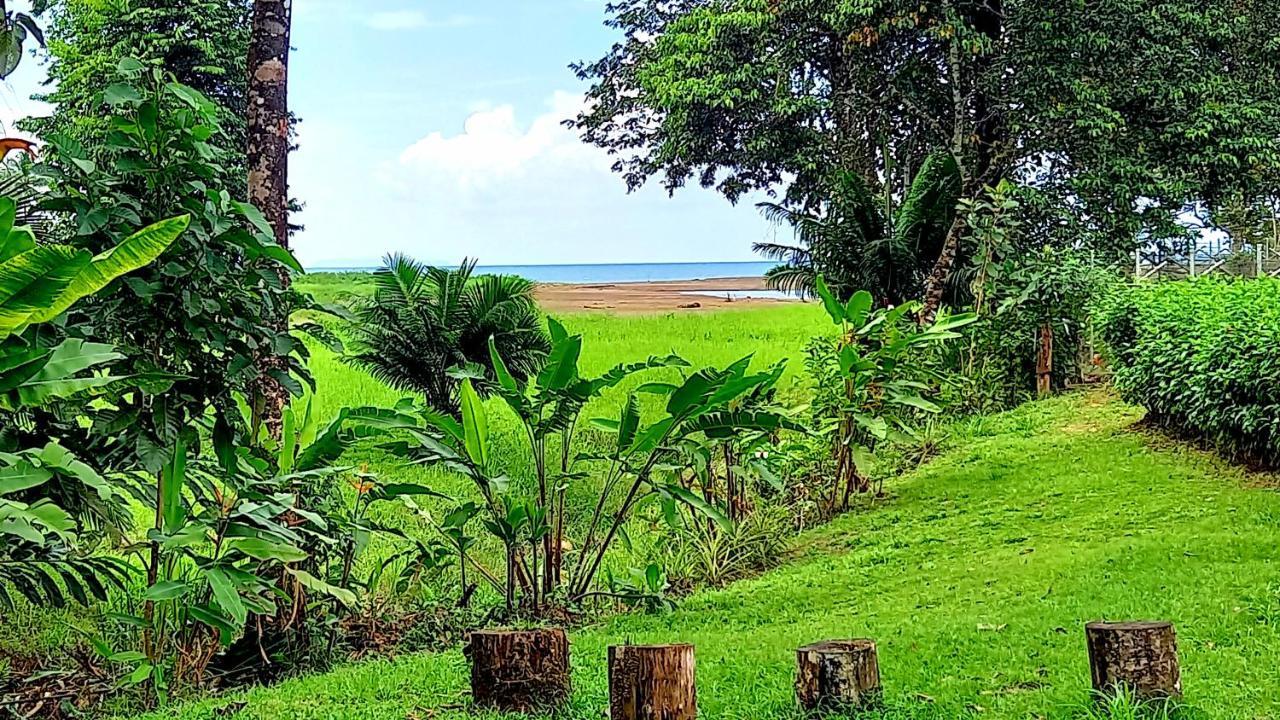 Encanto Lodge Drake Bay Exterior foto