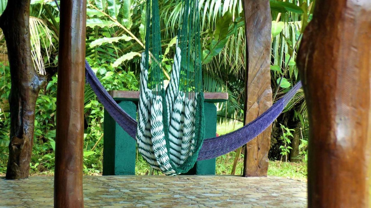 Encanto Lodge Drake Bay Exterior foto